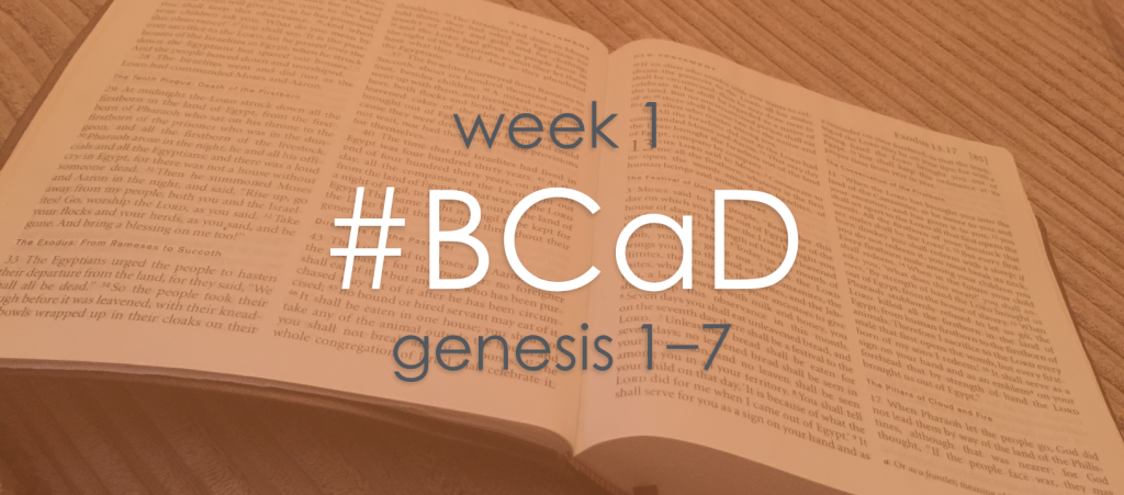 BCaD week 1
