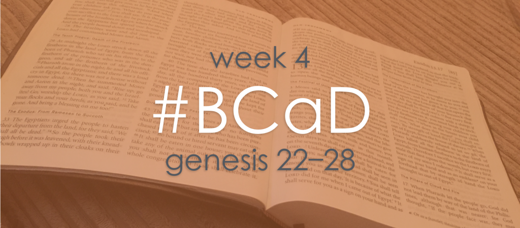 BCaD week 4